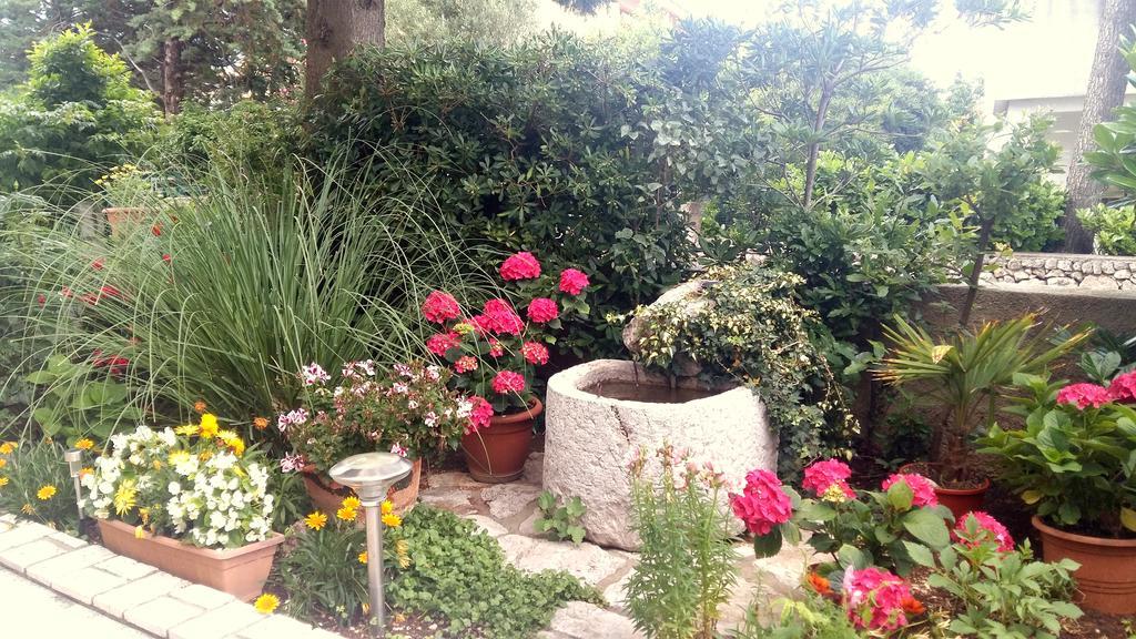 Guest House Tonica 克尔克 外观 照片